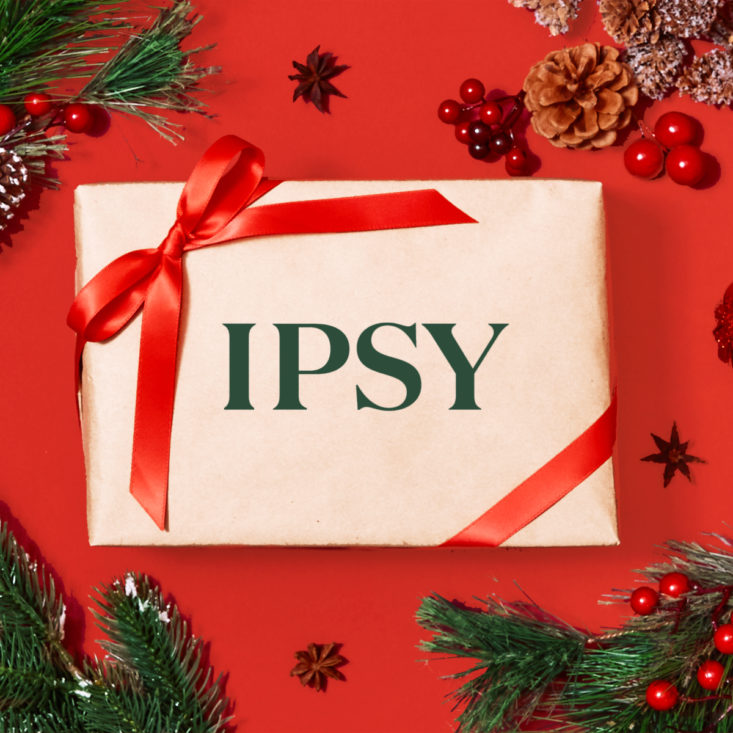 ipsy box wrapped with festive holiday bow 