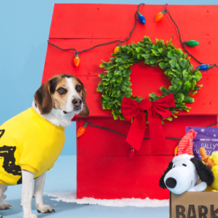 LAST CHANCE-Barkbox Black Friday 2021 Deal: Get First Box for $5 + Limited Edition Peanuts Box