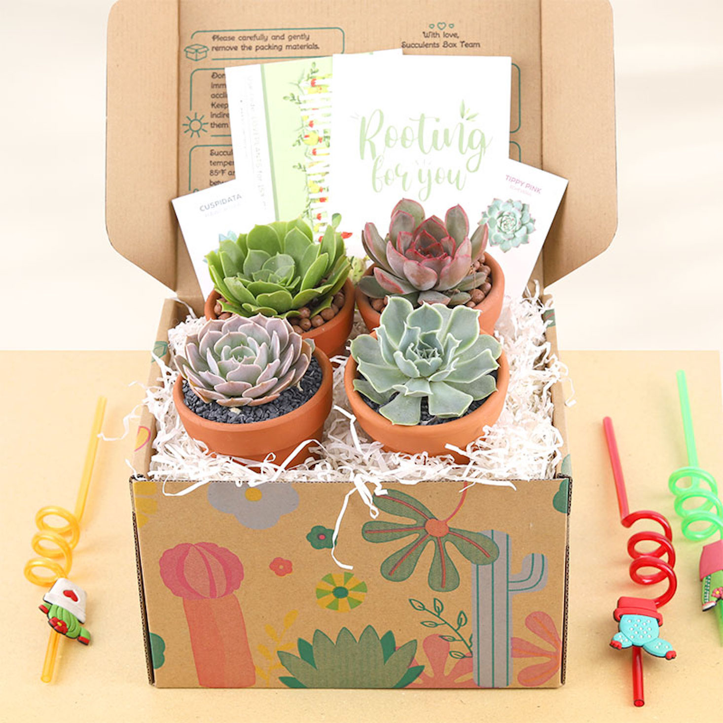 Succulents Box Black Friday 2021 Deal: 20% Off All Subscriptions