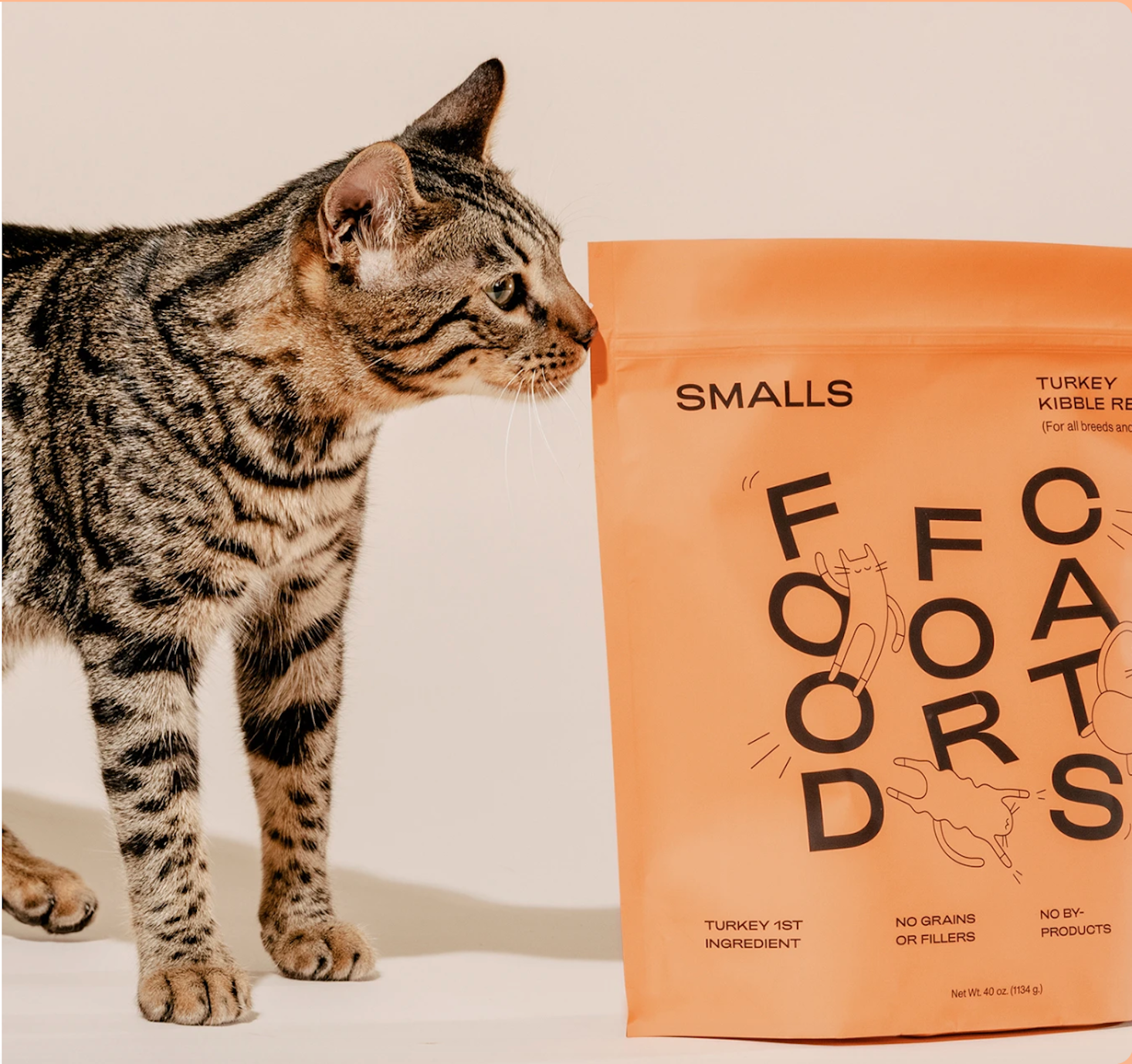 Smalls Giving Tuesday Special Offer: $10 OFF + 10 Meals for Cats in Need