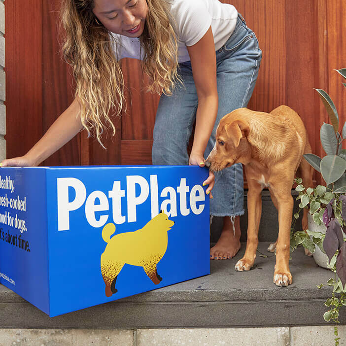 pet plate cyber monday deal