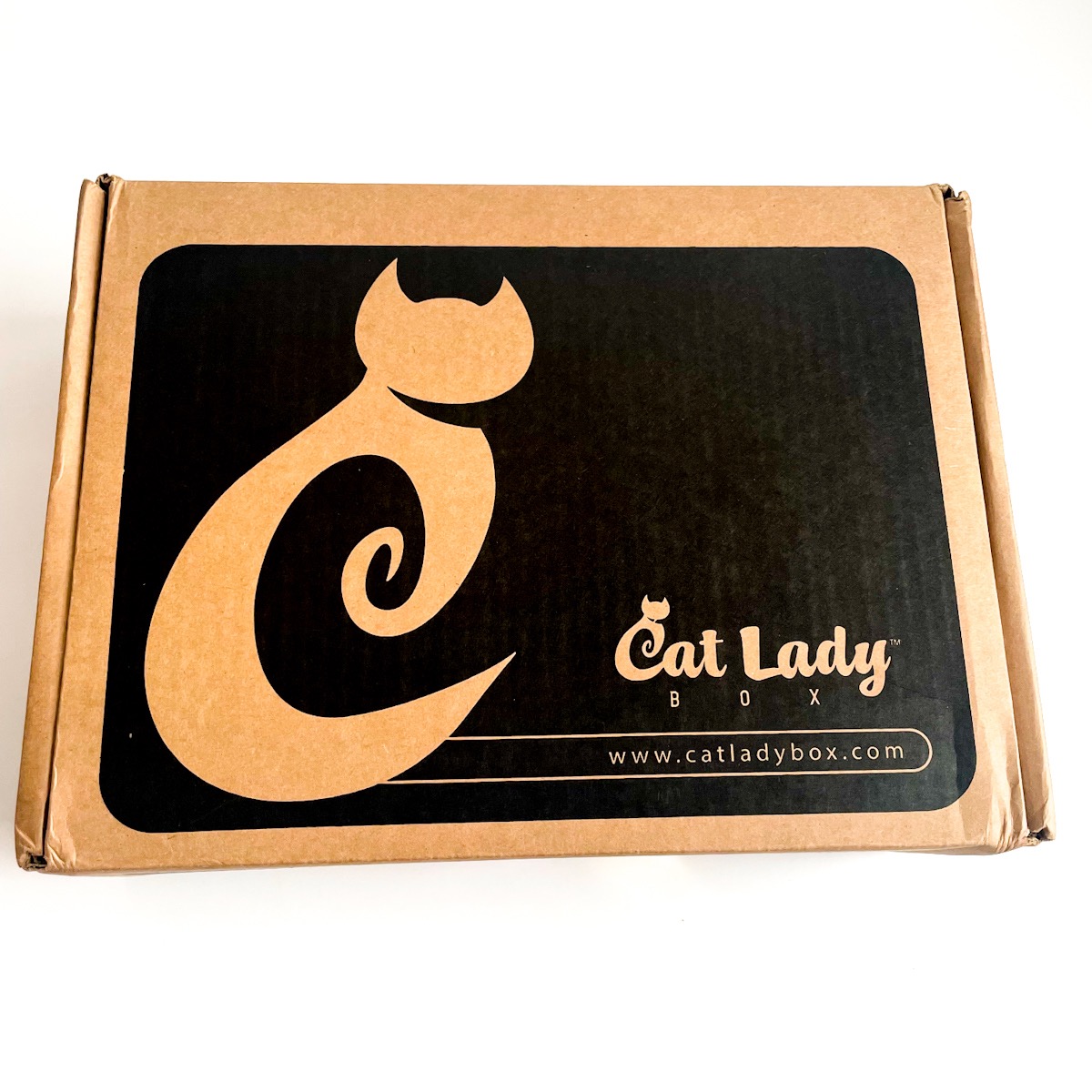 Crazy Cat Lady Box Subscription November 2021 Review + Coupon MSA