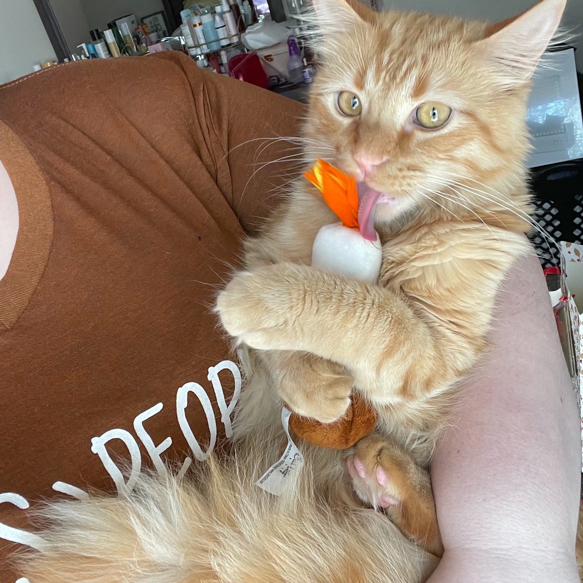 woman in rust shirt holding cat, cat is holding candlestick toy