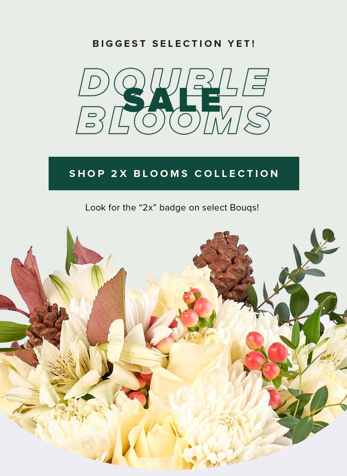 The Bouqs Co. Holiday 2021 Sale: Get 2 Bouquets For The Price of 1!