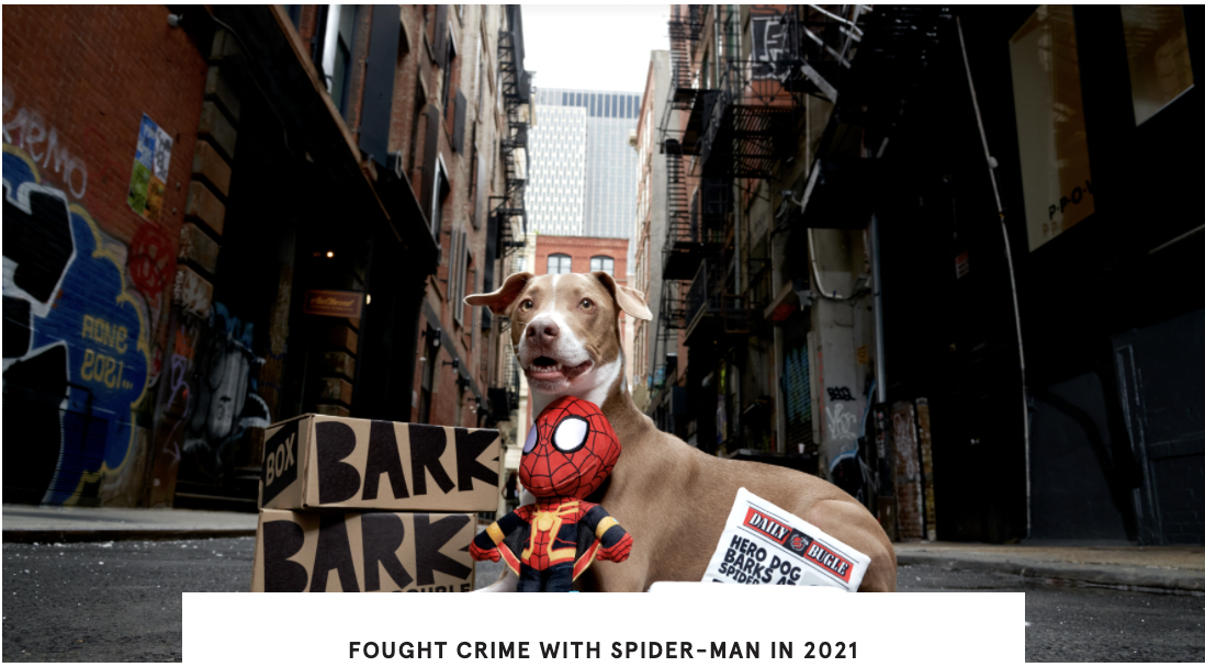 Barkbox Deal: Double Your First Box And Get Spider Man Themed Box Now