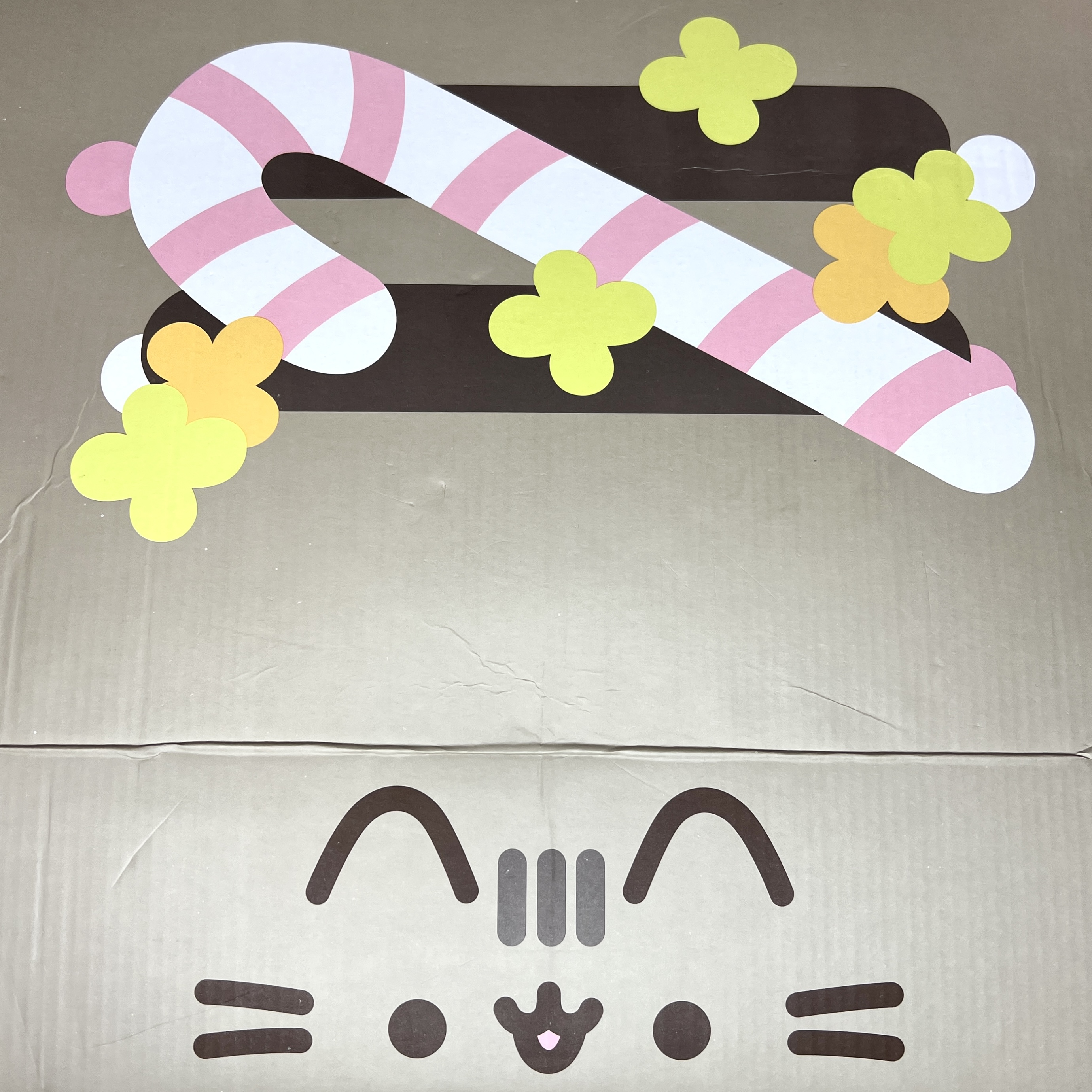 Top of Box for Pusheen Box Winter 2021