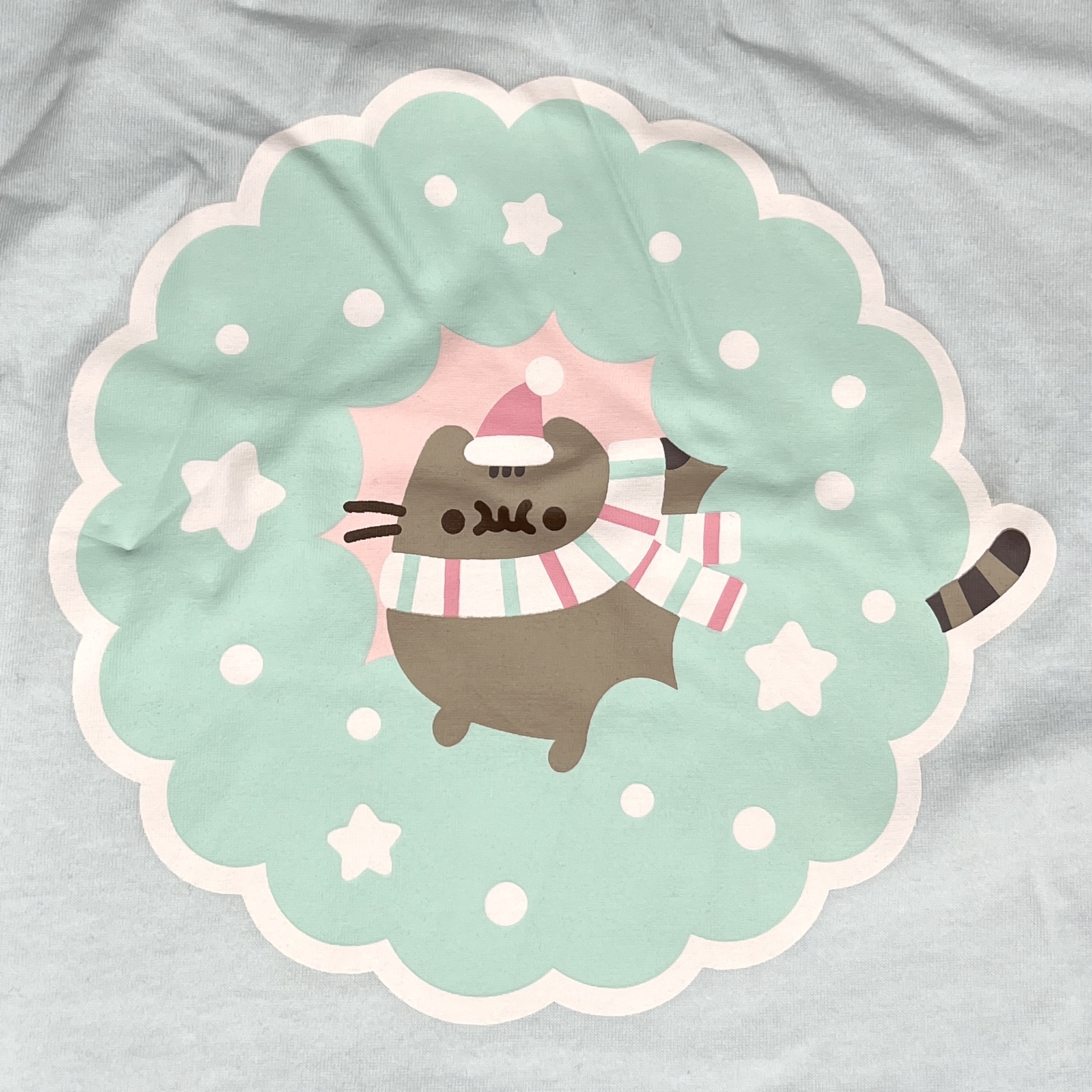 Closeup of Long-Sleeved Shirt for Pusheen Box Winter 2021