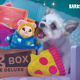 Barkbox Deal: Double Your First Box With Multi-Month Subscription + Get Slobber Party Box Now