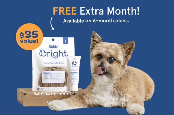 Bark Bright Sale: FREE EXTRA Month On Your Dog Dental Kit