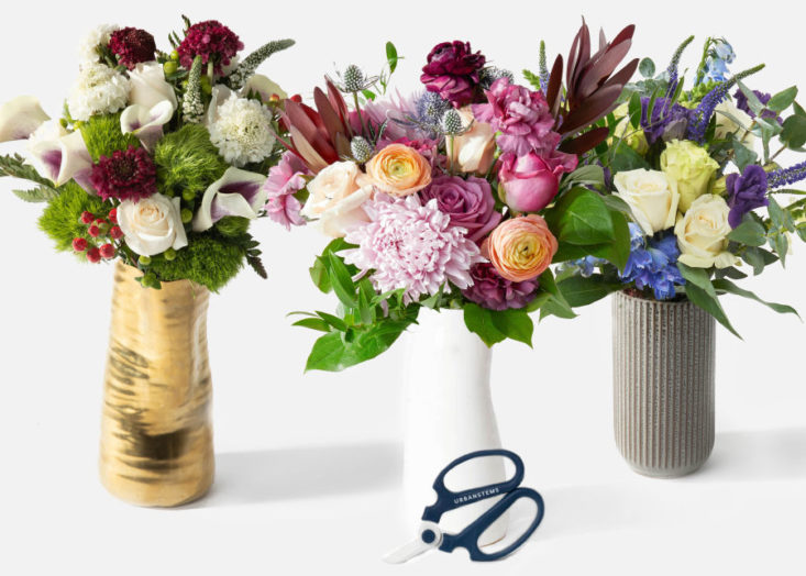 urban stems luxe with vase