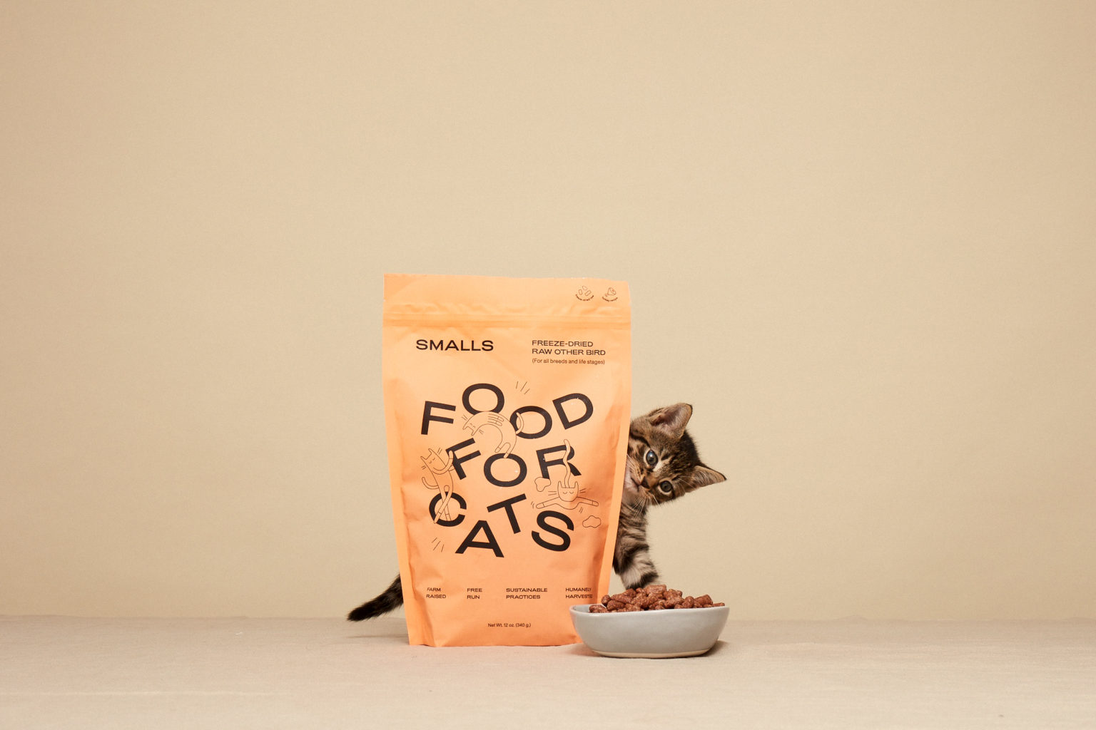 The Best Cat Subscription Boxes As Voted by Our Readers! MSA