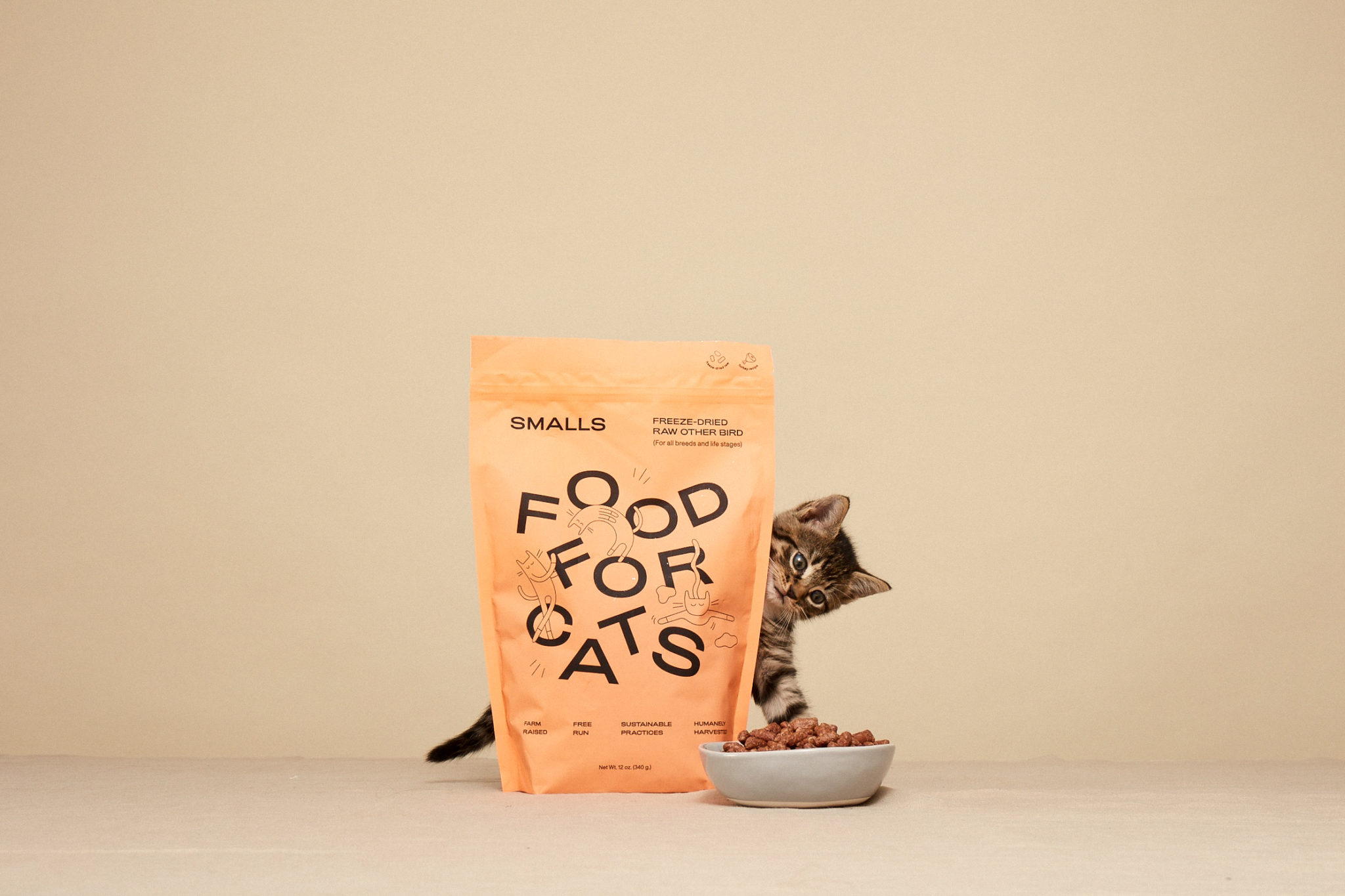 The Best Cat Subscription Boxes As Voted by Our Readers! MSA