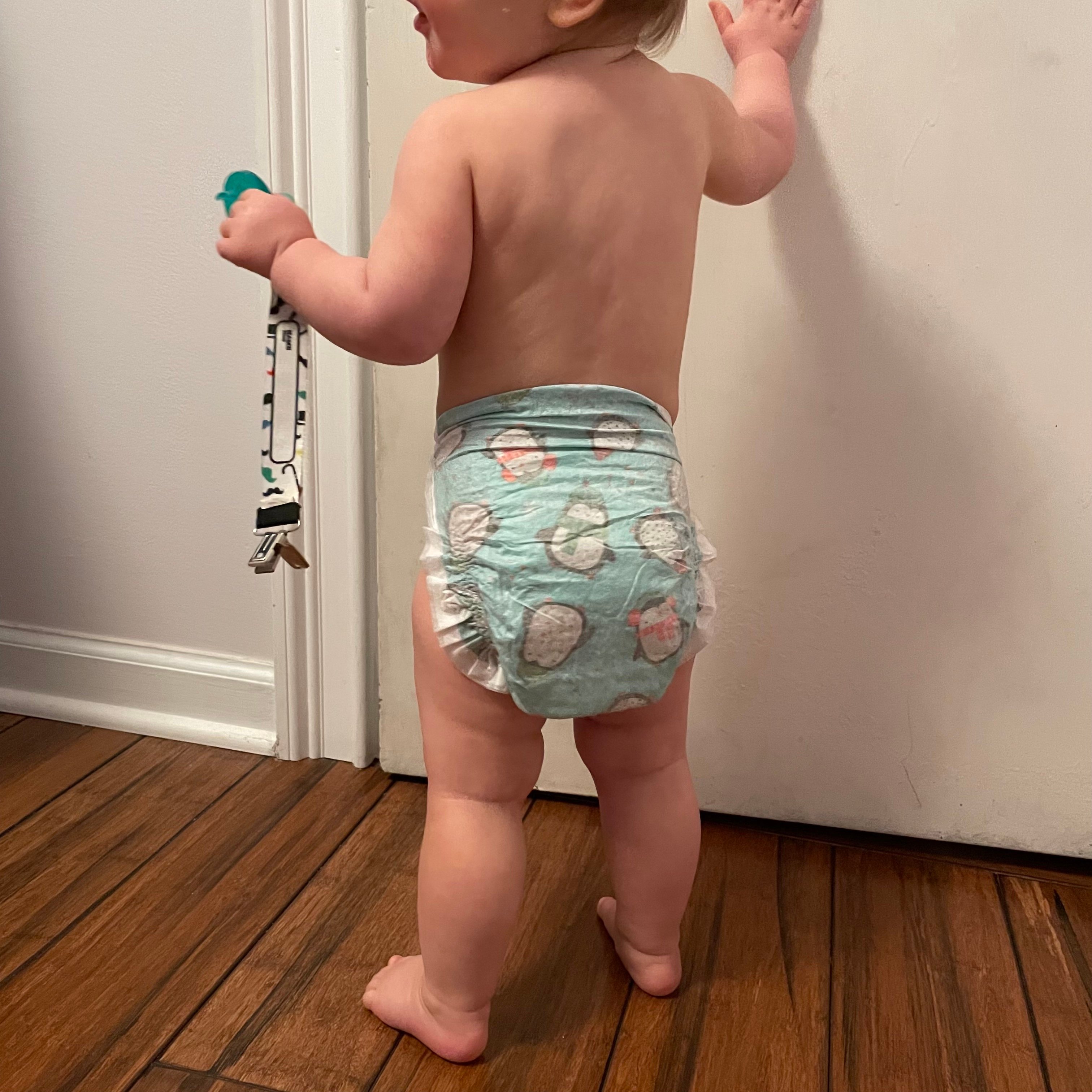 Hello Bello vs. Honest vs. Dyper: Which Diaper Bundle Is the Best Value?