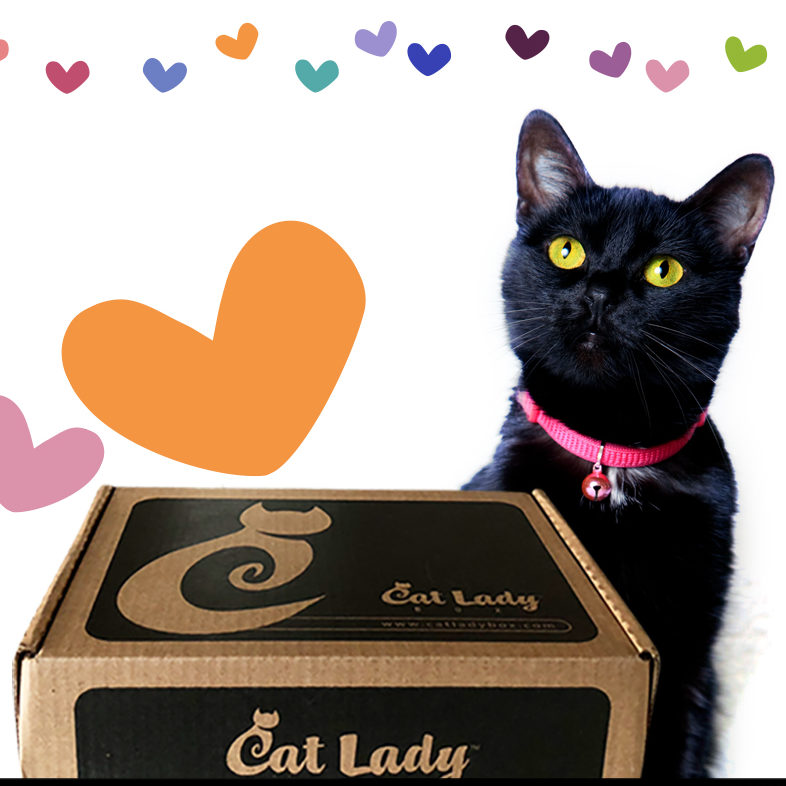 Cat lady box clearance store