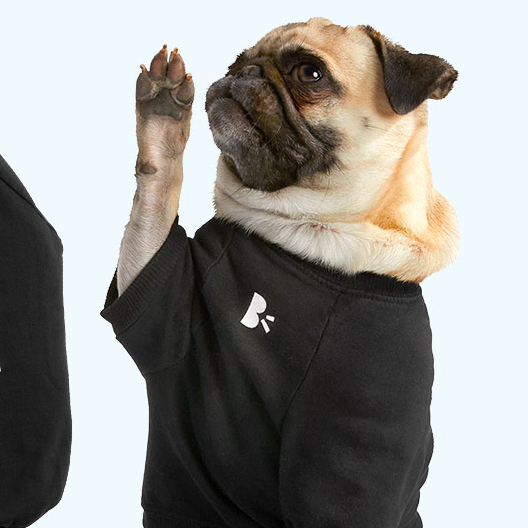 BarkBox + Super Chewer Coupon: Get FREE Hoodie With Multi-Month Subscription