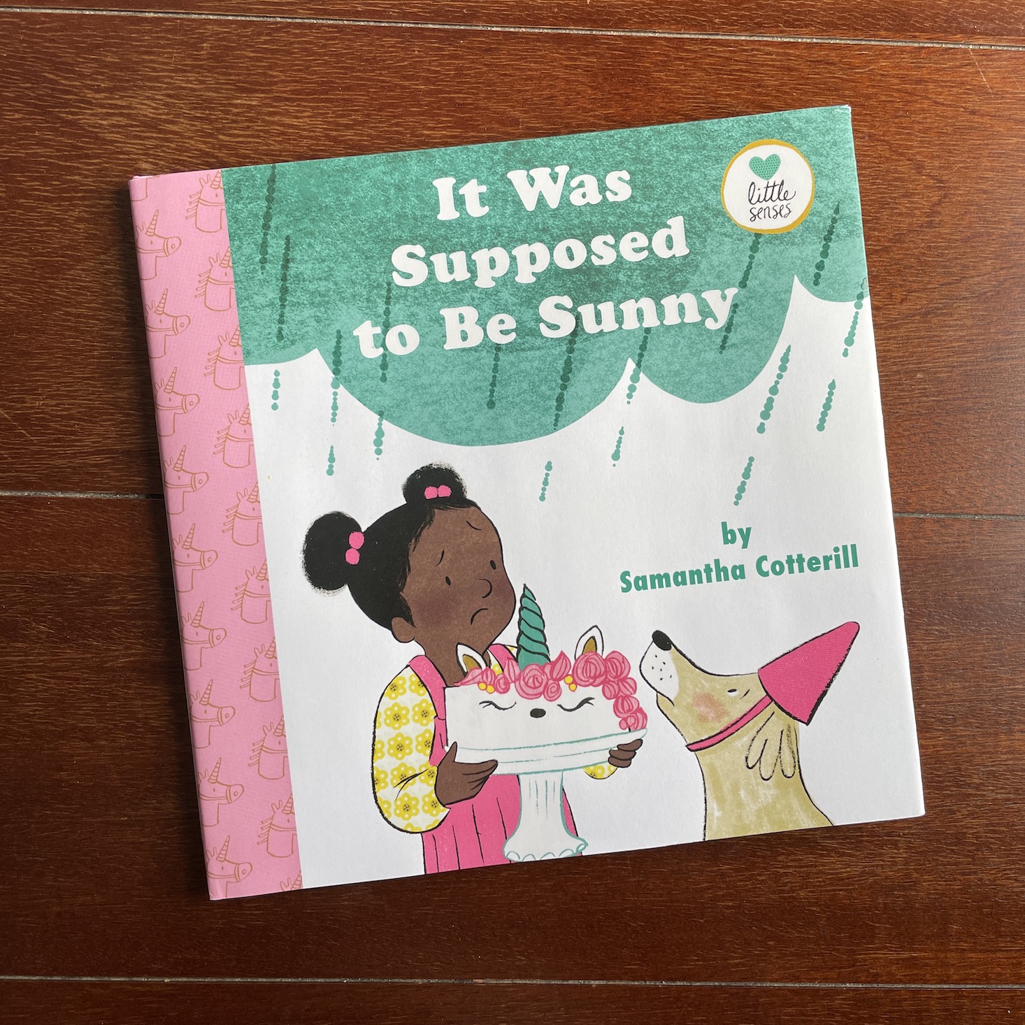 It Was Supposed to Be Sunny from Little Feminist Book Club