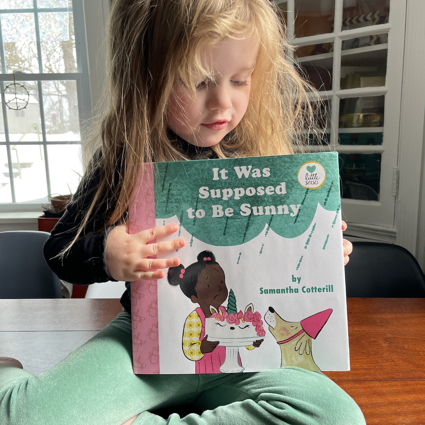 Little Feminist Book Club Ages 2-4 January 2022 Review + Coupon