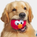 BarkBox Super Chewer Coupon: Get FREE Sesame Street Toy With Multi-Month Subscription