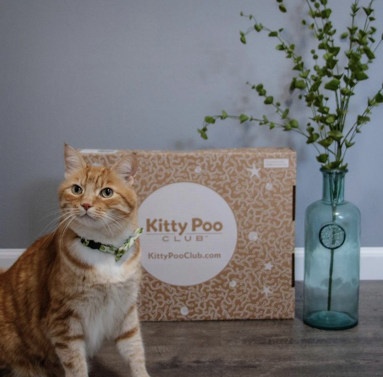 Kitty Poo Club: Get 40% Off Your First Box