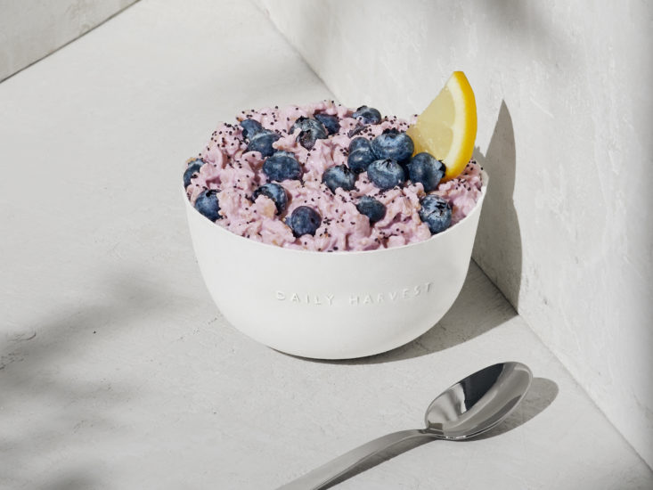 The 15 Best Prepared Meal Delivery Subscriptions 2022 Winners MSA