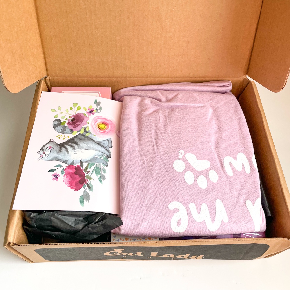 Crazy Cat Lady Box Subscription February 2022 Review + Coupon MSA