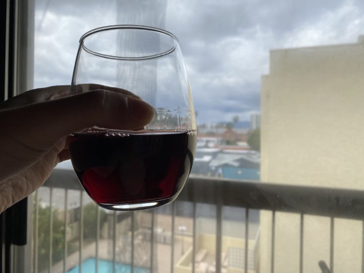 holding glass of merlot up to a window