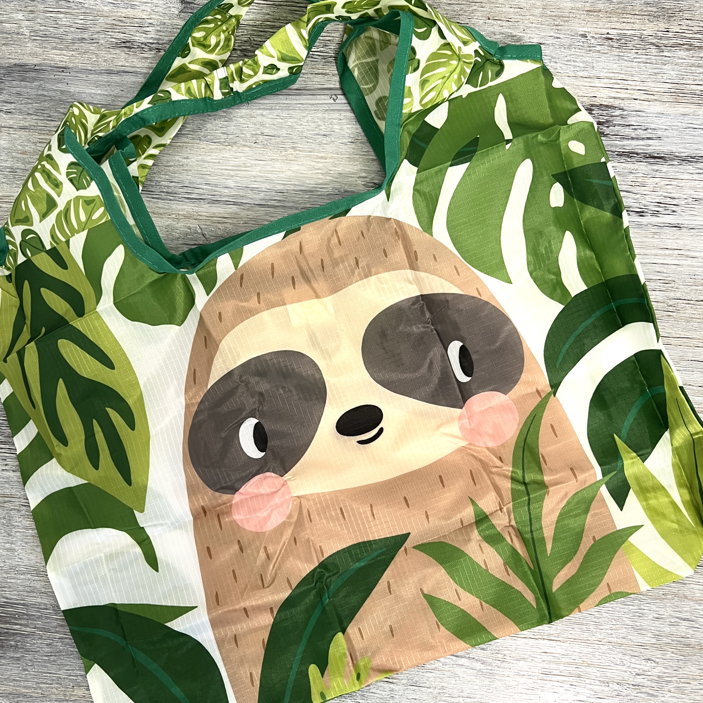 Closeup Reusable Sloth Bag for Bombay and Cedar Lifestyle Box February 2022