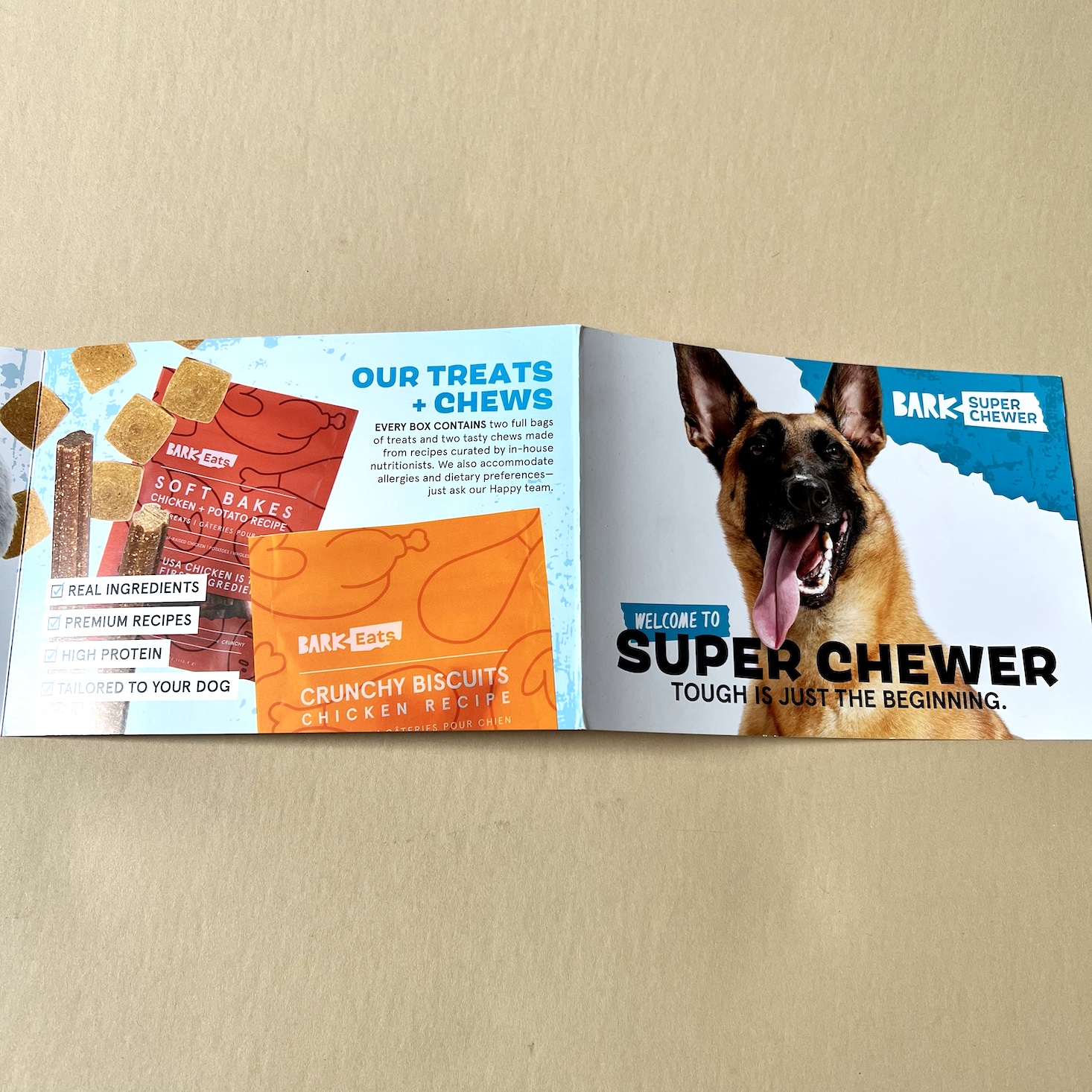 5 super chewer barkbox best sale