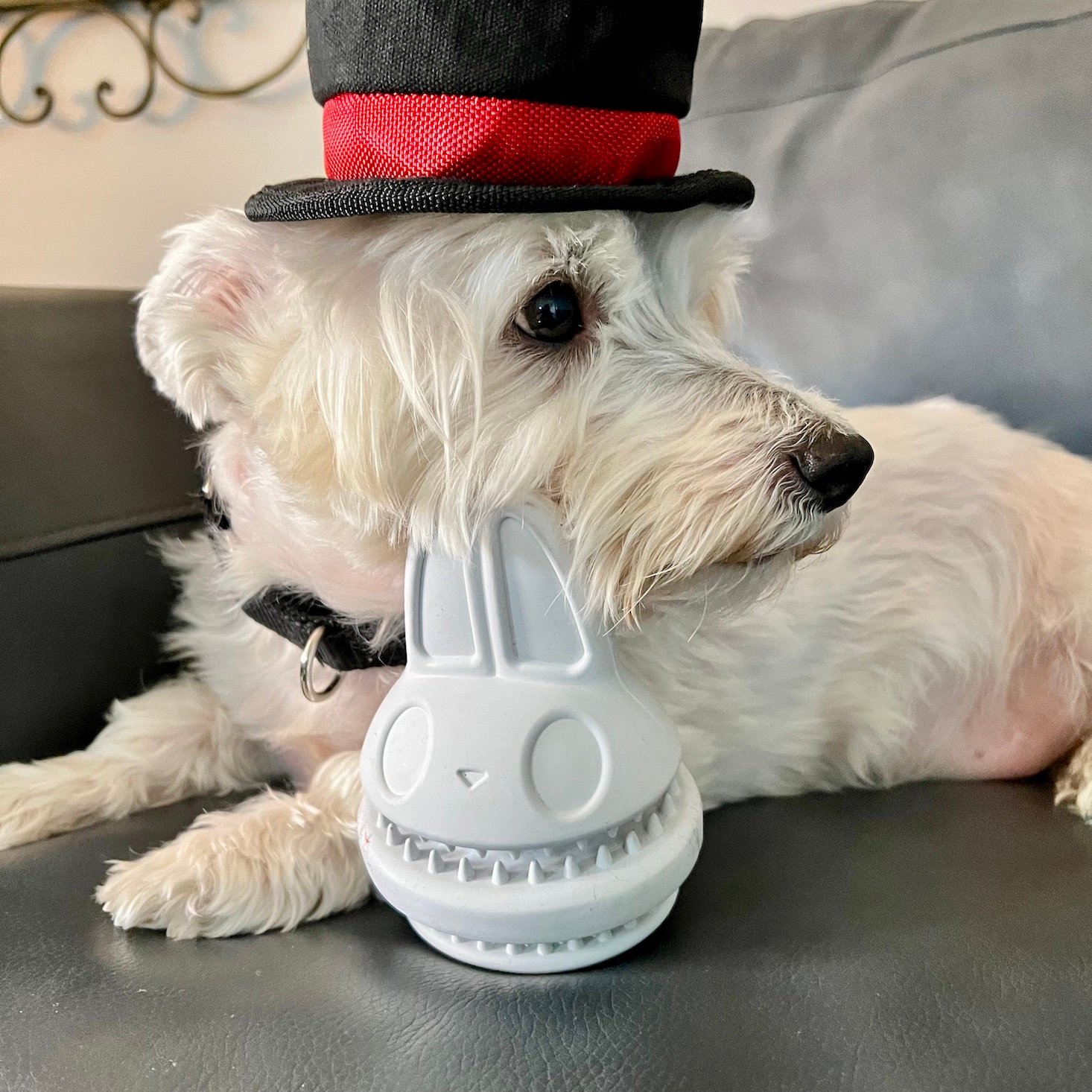 BarkBox Super Chewer “Jackpawt” April 2022 Subscription Box Review + Coupon