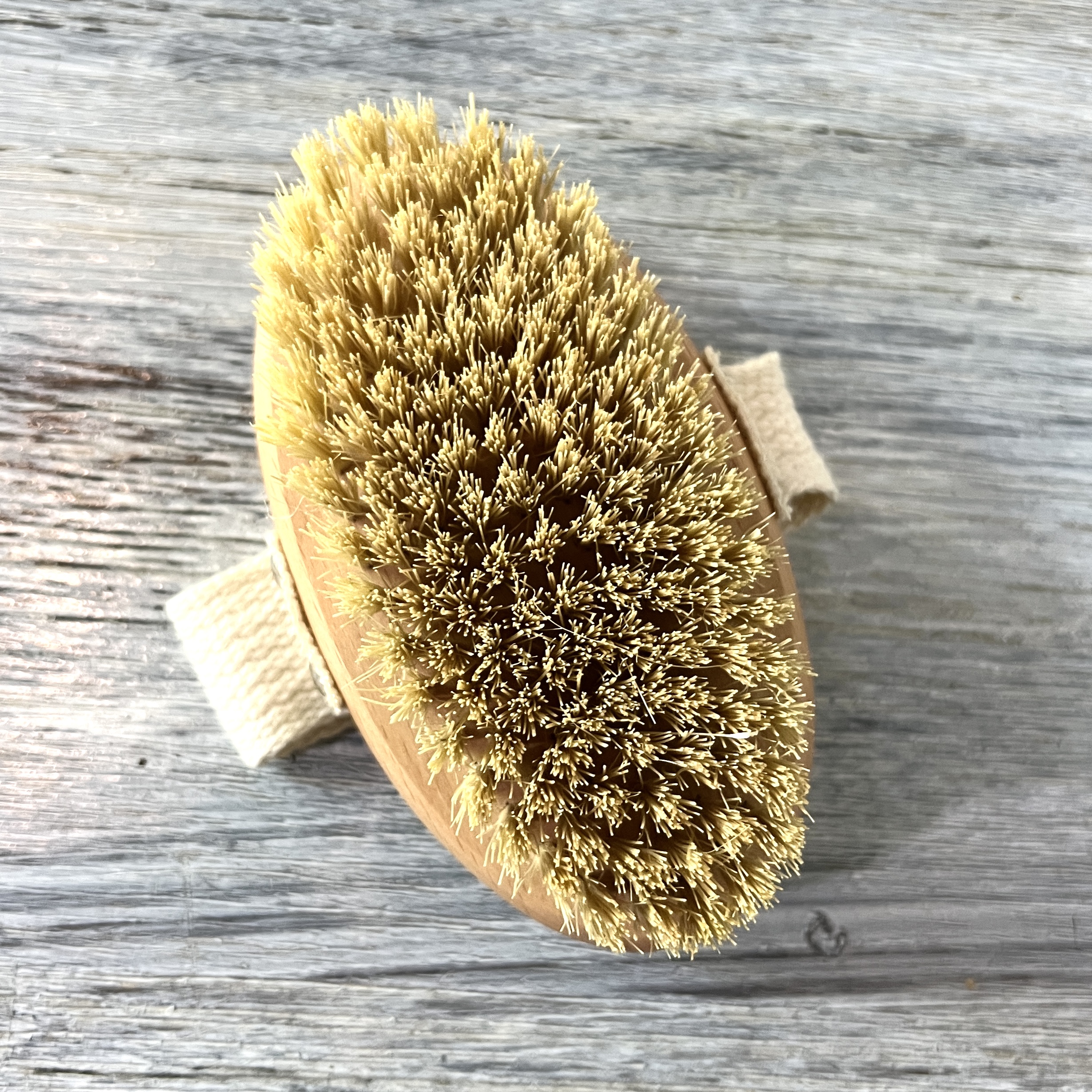 Front of Dry Body Brush for Brown Sugar Box March 2022