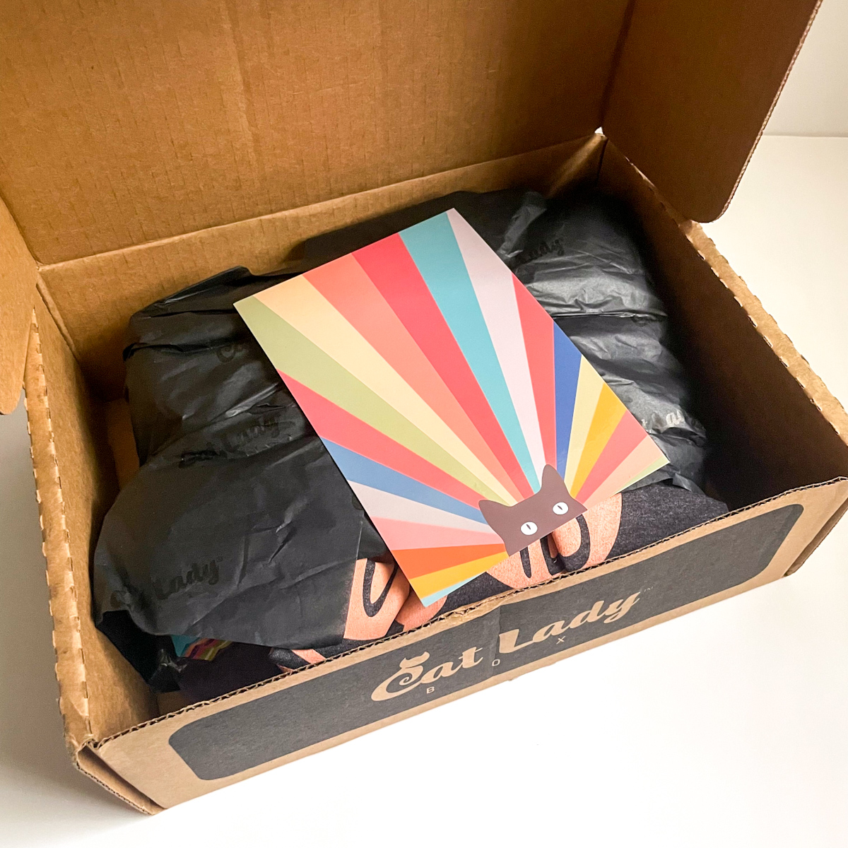 Cat Lady Box Subscription April 2022 Review + Coupon MSA