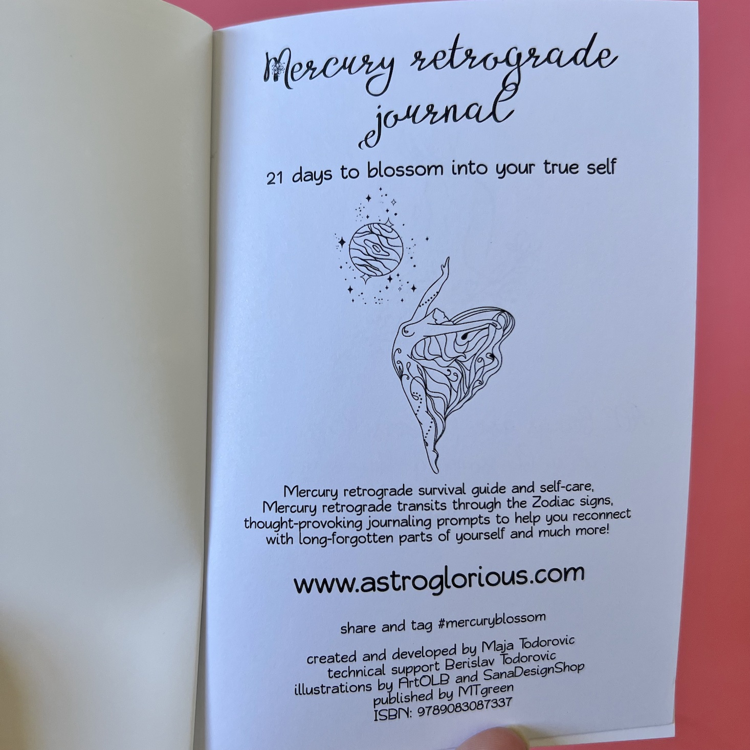 Mercury Retrograde Journal