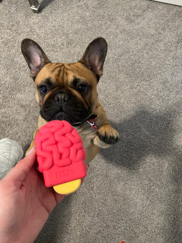 Bullymake shop dog toys