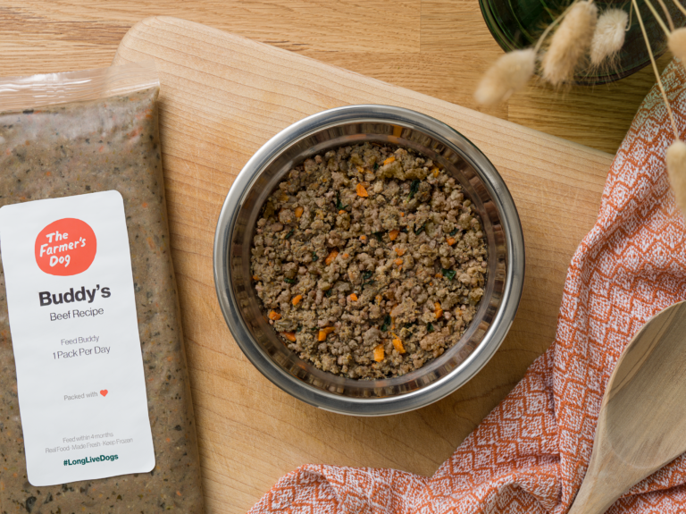 The 13 Best Dog Food Subscription Boxes of 2023 Readers' Choice