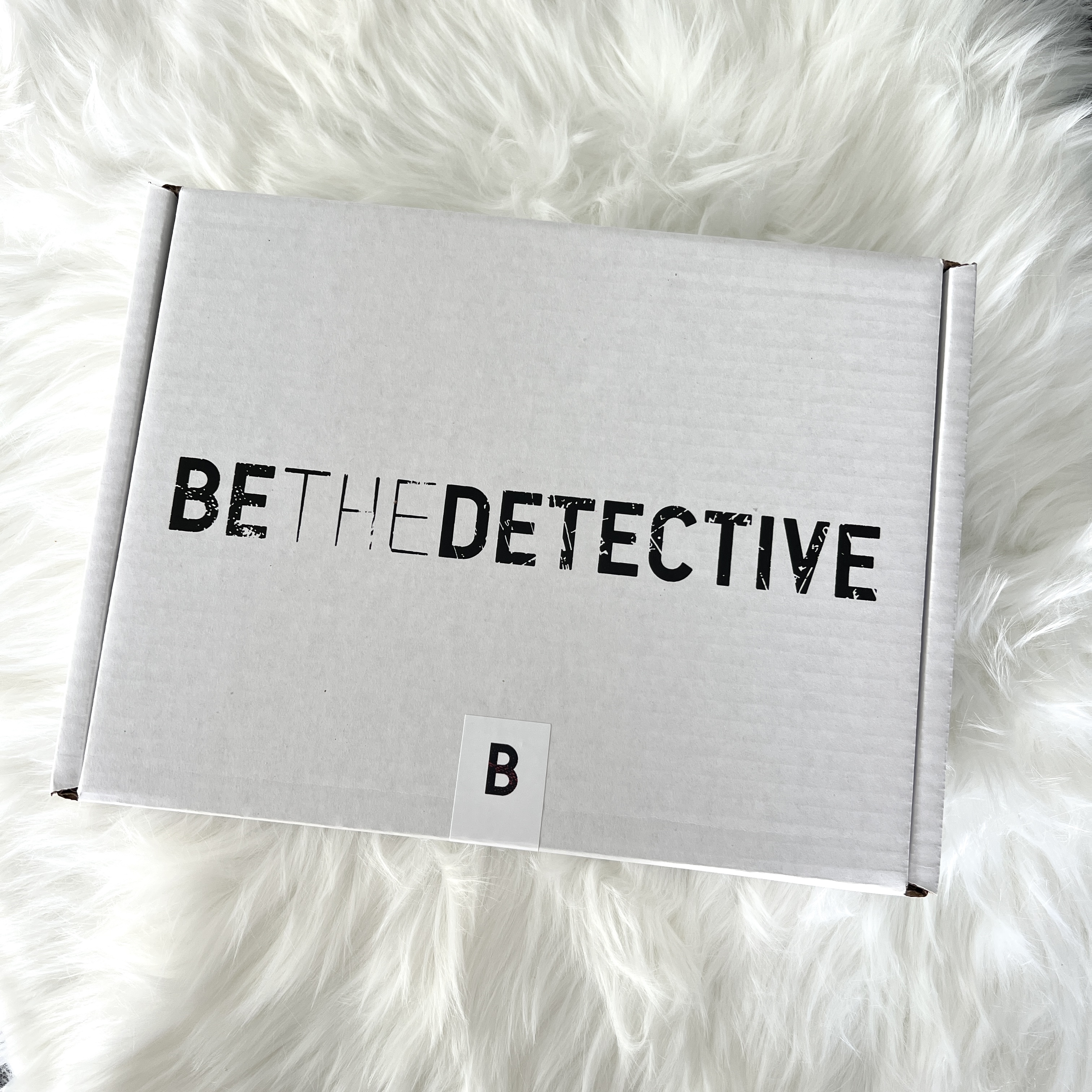 Be The Detective