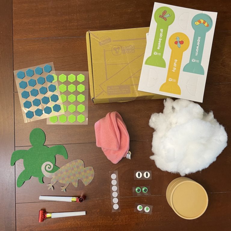 KiwiCo Koala Crate June 2022 “Reptiles” Review My Subscription Addiction