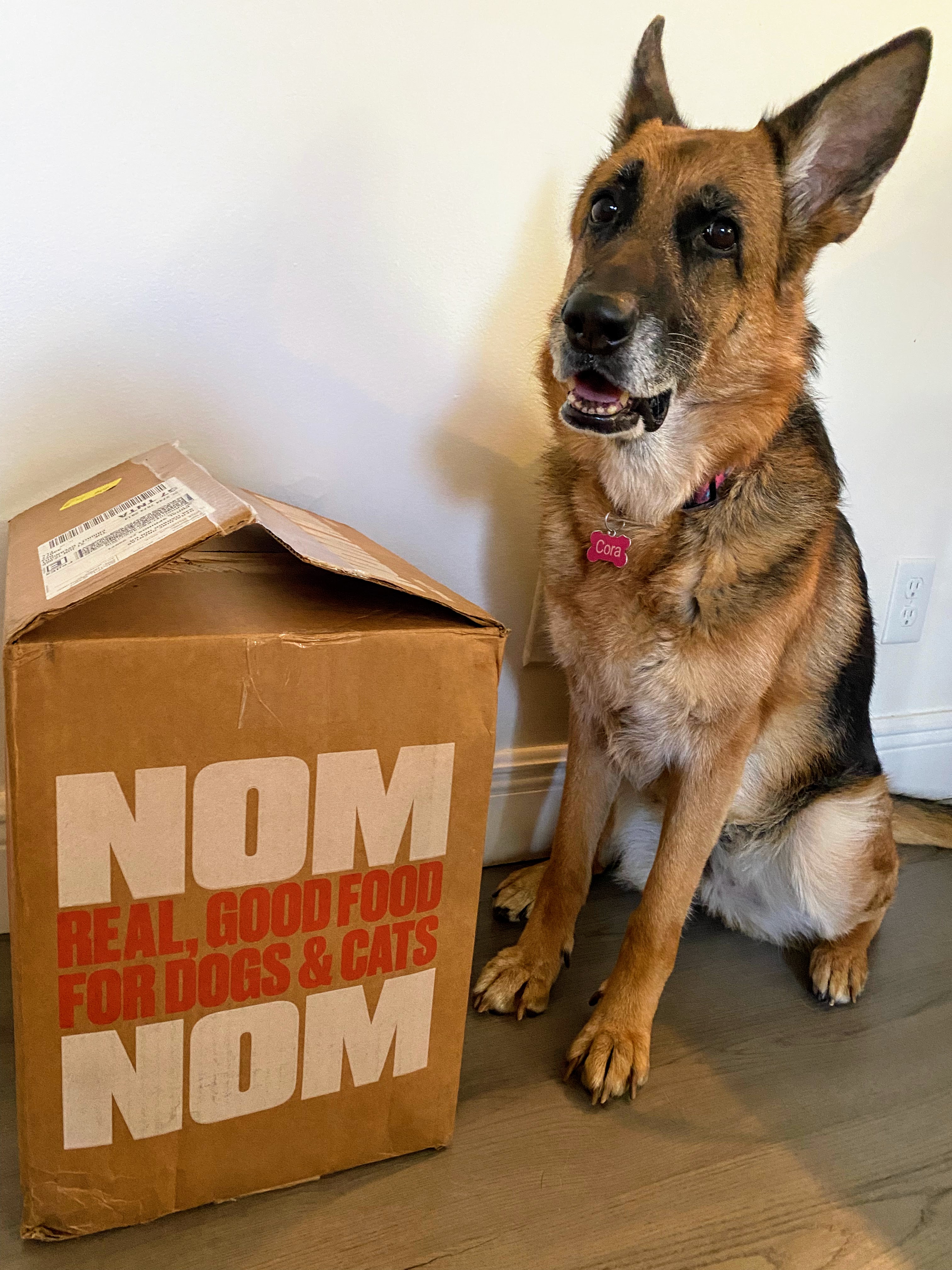 Nom Nom vs. Kibble – Cora’s Pick Was Easy