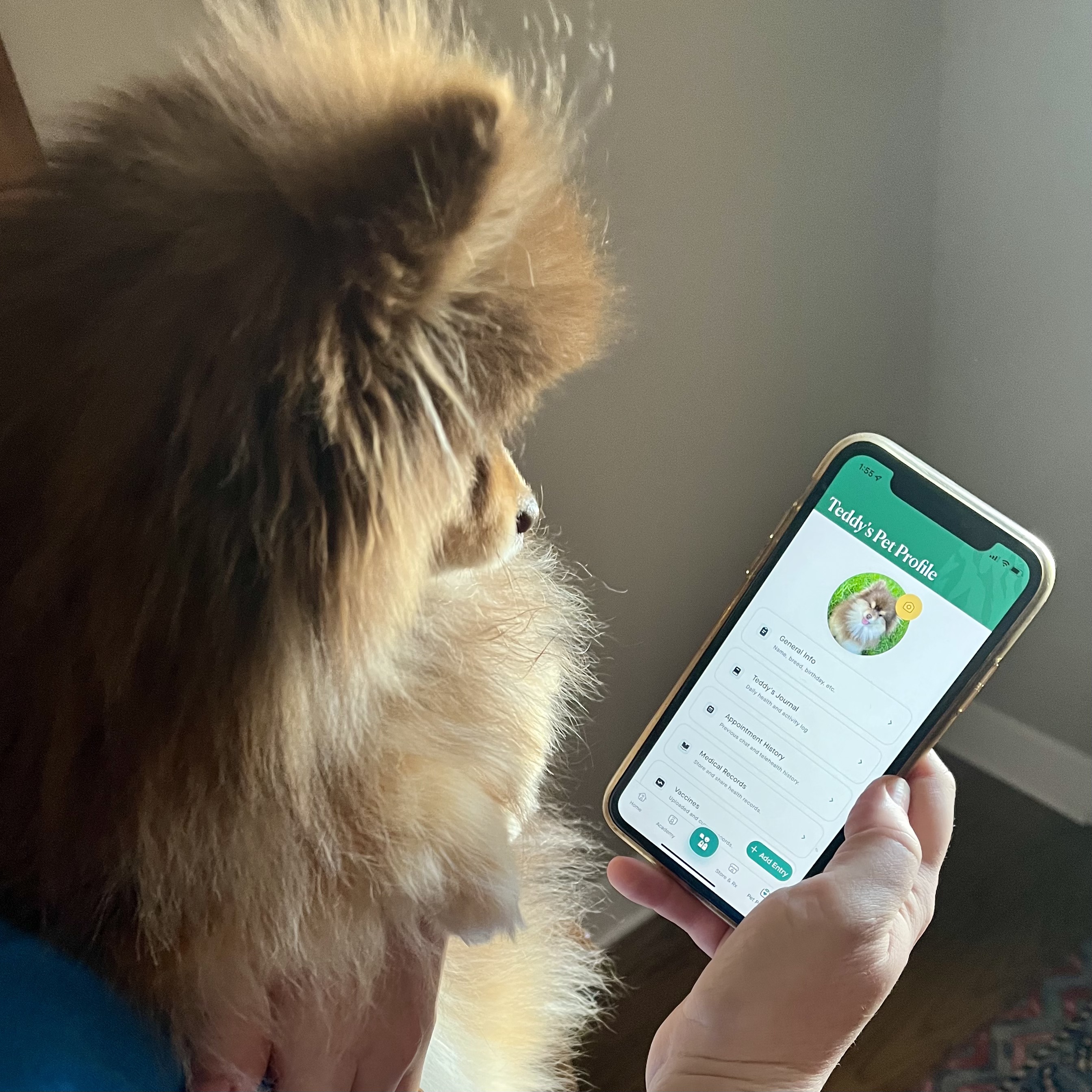 Passport to Pet Wellness: Why I Signed My Dog Up for Vet Telehealth