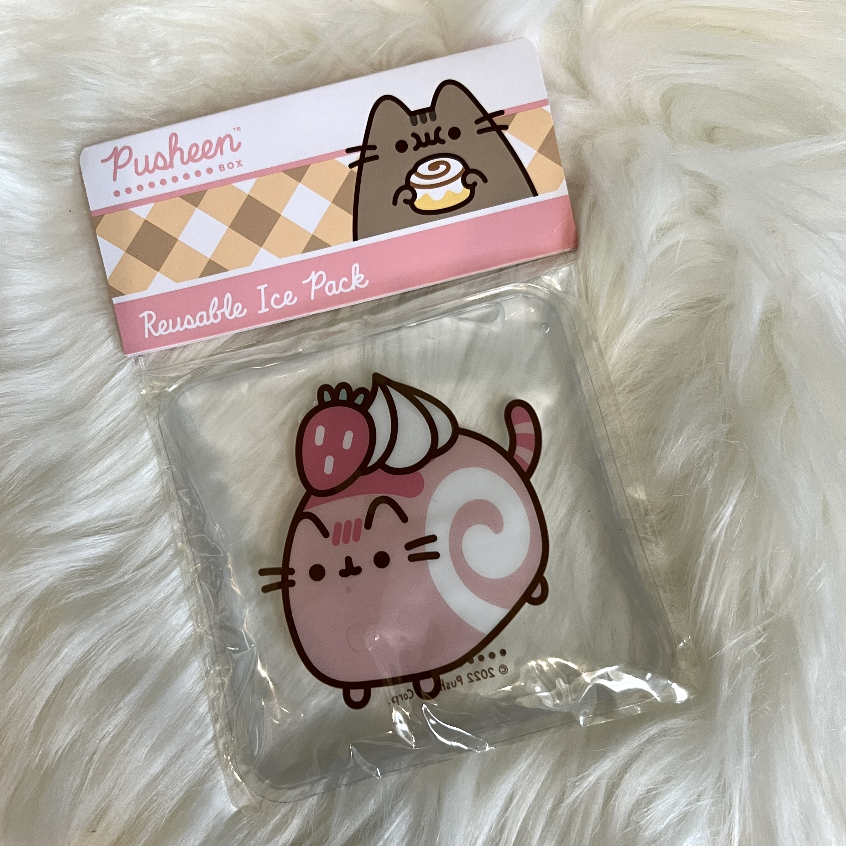 Ice Pack for Pusheen Box Summer 2022
