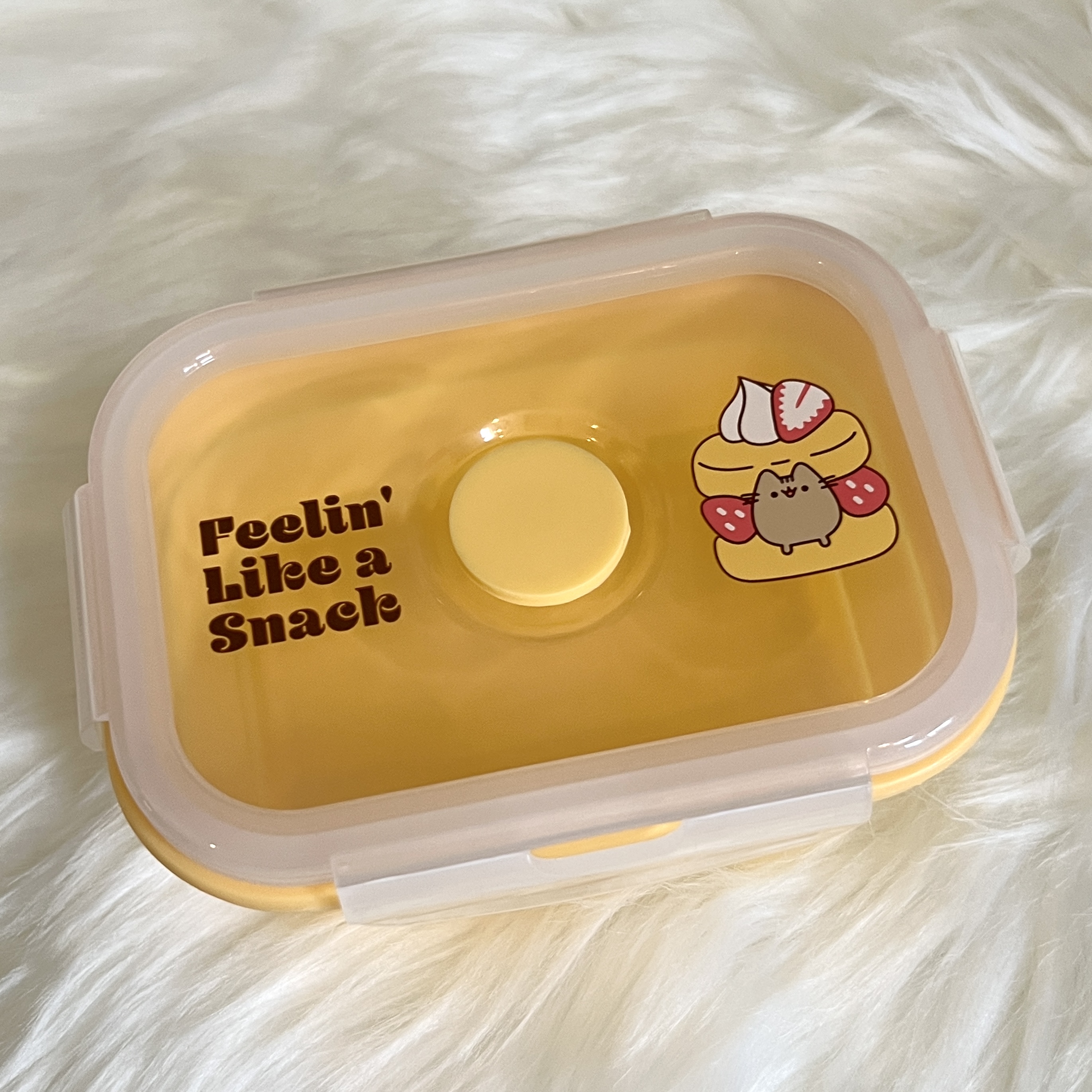 Front of Snack Box for Pusheen Box Summer 2022