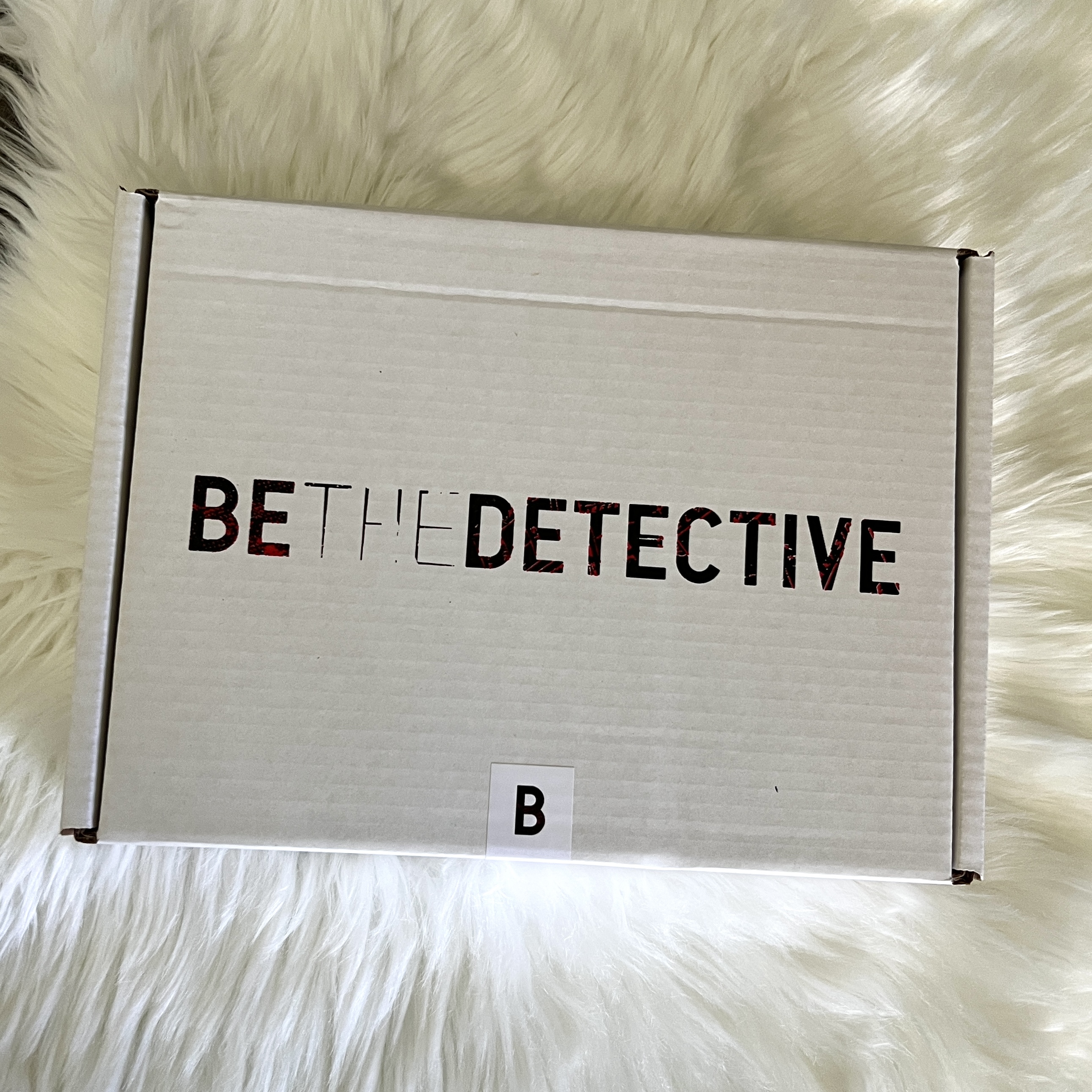 Box for Be The Detective The Dual Part Two