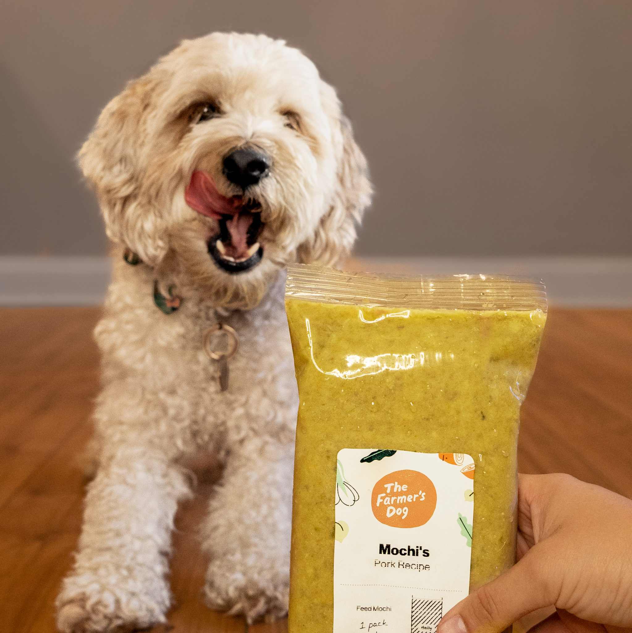 Farmer’s Dog vs Ollie vs Nom Nom My Dog Tried All 3 and Here’s Her