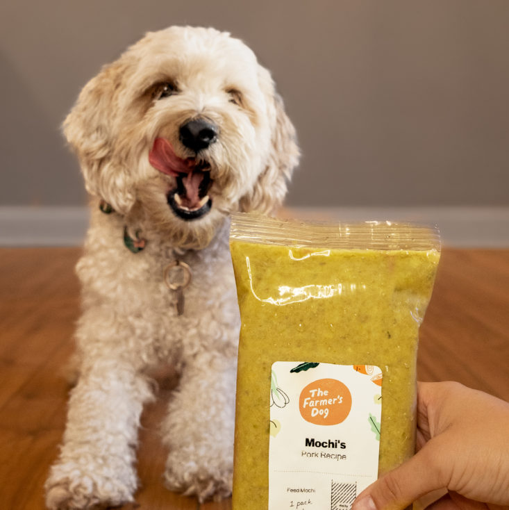 Farmer’s Dog vs Ollie vs Nom Nom My Dog Tried All 3 and Here’s Her