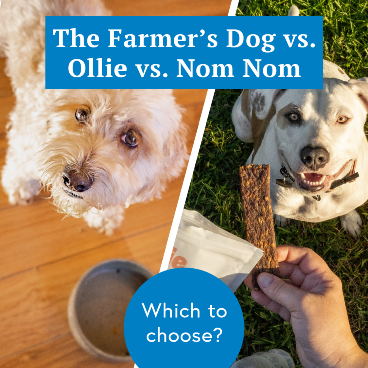 Farmer s Dog vs. Ollie vs. Nom Nom My Dog Tried All 3 and Here s