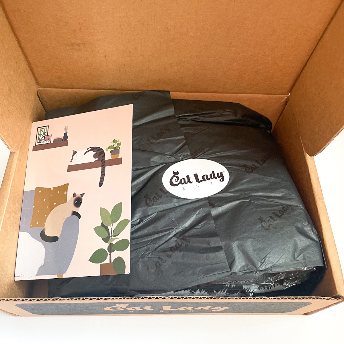 Cat Lady Box Subscription September 2022 Review