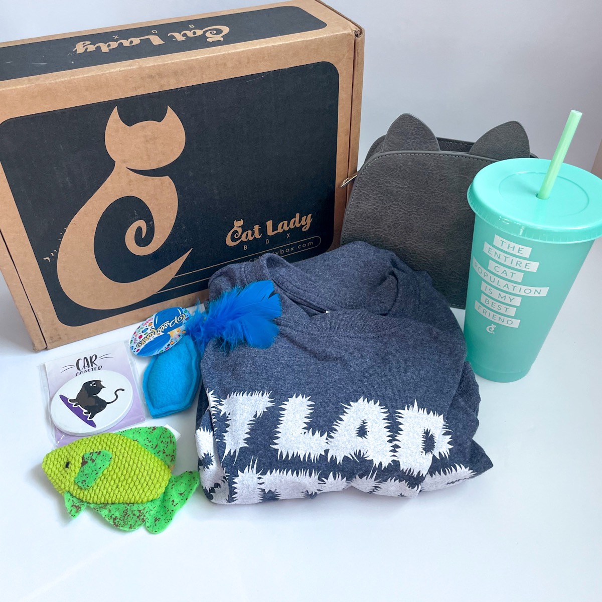 Cat Lady Box Subscription September 2022 Review | MSA