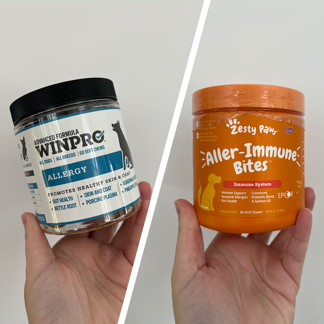 WINPRO vs. Zesty Paws: Which Product Helps Your Dog’s Allergies?