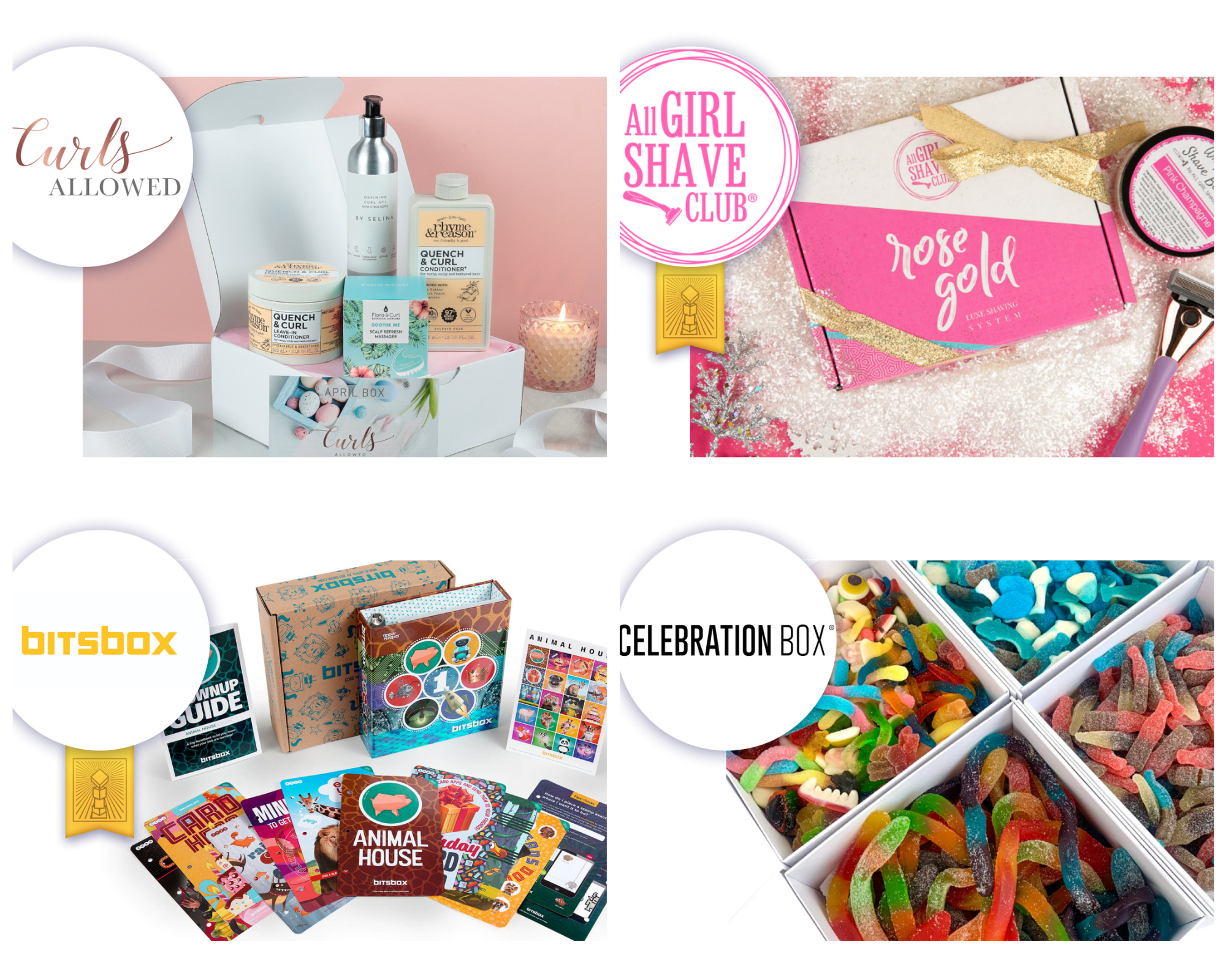 The Best Gift Subscriptions to Buy on Subscription Day