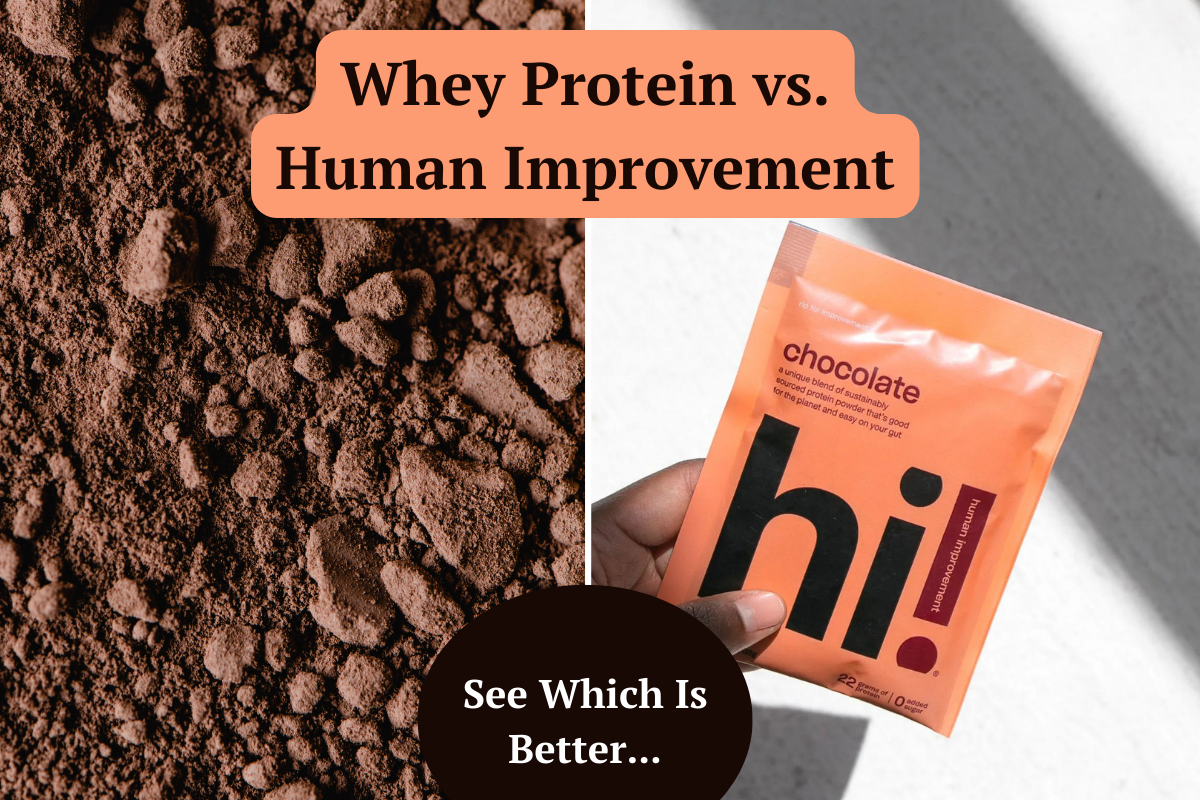 Optimum Whey Protein vs. Human Improvement Cricket Protein: Which Is Better?