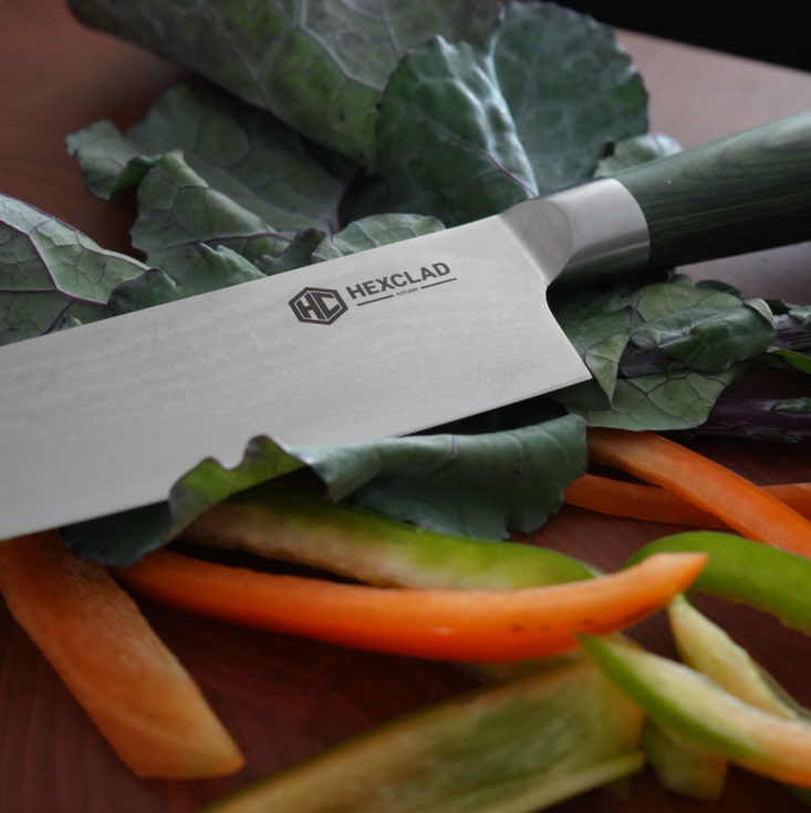 Has anyone tried out Gordon Ramsay's Hexclad knives? What's your